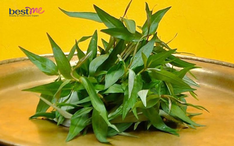 huong-dan-chi-tiet-cach-nau-canh-thit-bo-rau-ram-la-mieng-ngon-chuan-vi-7 Hướng dẫn chi tiết: Cách nấu canh thịt bò rau răm lạ miệng, ngon chuẩn vị - 7