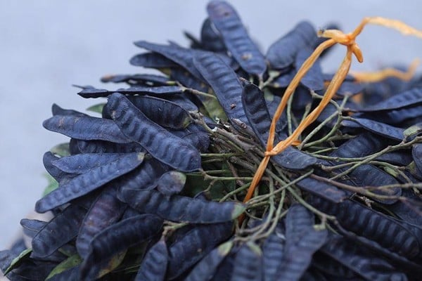 Những lưu ý khi chăm sóc tóc mà bạn nên biết - 1