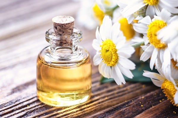 dưỡng tóc với tinh dầu hoa cúc