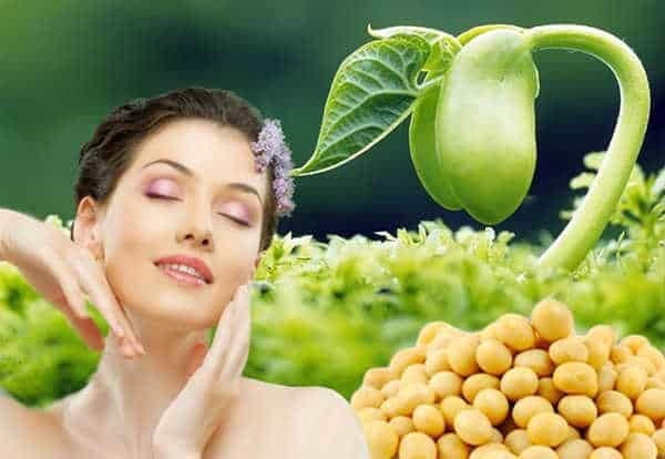 Thành phần thường thấy trong viên uống trị mụn nội tiết - 4