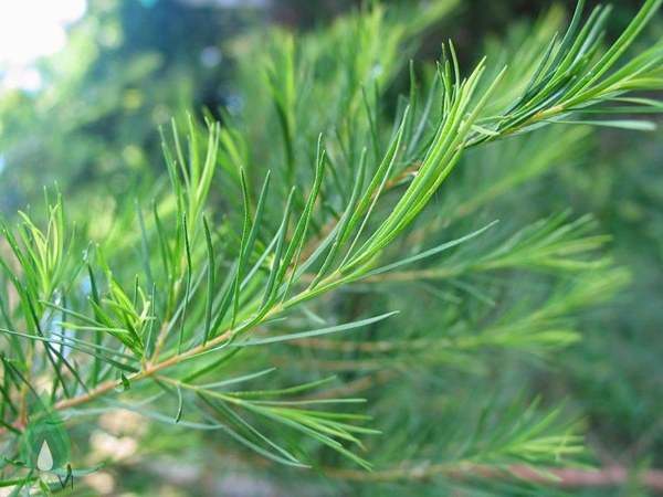 Những lưu ý trong chăm sóc da lỗ chân lông to vào mùa hè - 6