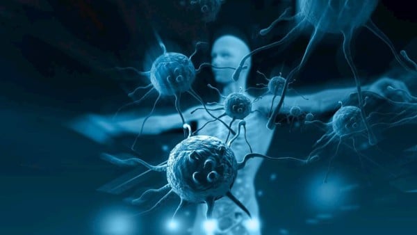 DHC kẽm hỗ trợ thế nào cho sức khỏe? - 1