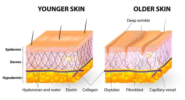thực phẩm chức năng collagen
