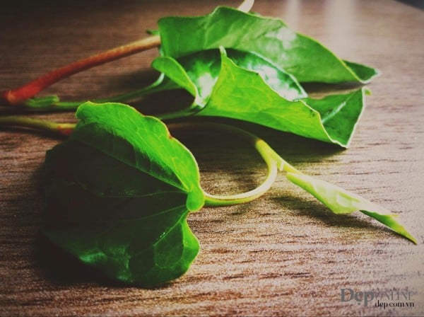 4 loại mặt nạ trị mụn từ thiên nhiên mà hội chị em yêu thích - 4