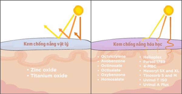 Đi tìm loại kem chống nắng phù hợp với từng loại da - 3