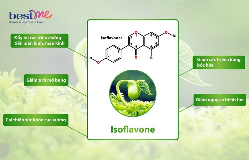 Công thức hóa học của Isoflavone