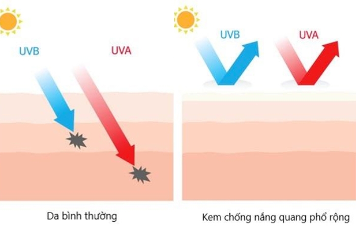 Kem chống nắng phổ rộng đẩy lùi tia UVA và UVB