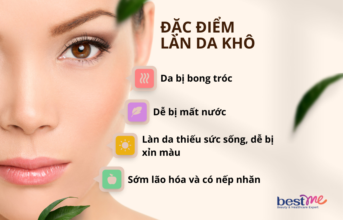 Đặc điểm làn da khô