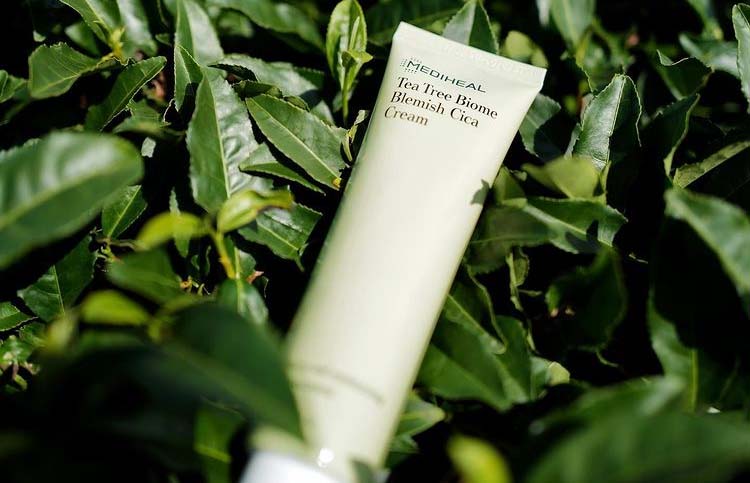 Kem dưỡng phục hồi da sau mụn Mediheal Tea Tree Biome Blemish Cica Cream