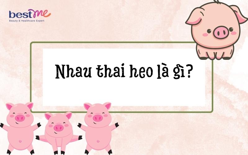 Nhau thai heo là lớp màng cung cấp dưỡng chất cho heo con khi ở trong bụng mẹ