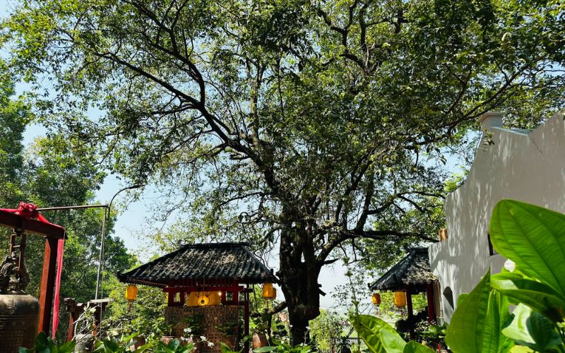 Khám phá chùa Trình Yên Tử Quảng Ninh ở đâu? Thờ ai? - 8