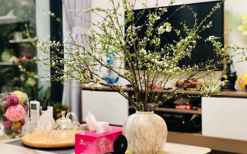 Khám phá hình ảnh, ý nghĩa hoa tuyết mai ngủ đông chưng Tết - 11