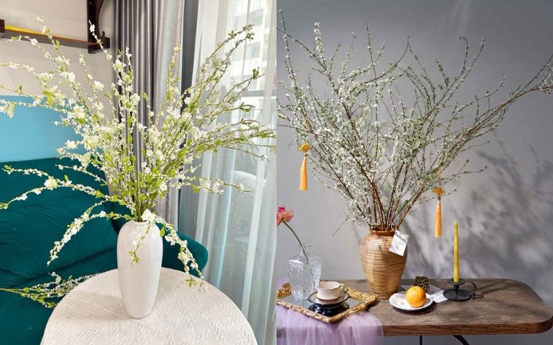 Khám phá hình ảnh, ý nghĩa hoa tuyết mai ngủ đông chưng Tết - 13