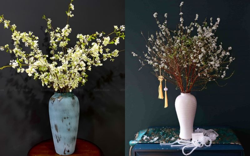 Khám phá hình ảnh, ý nghĩa hoa tuyết mai ngủ đông chưng Tết - 15