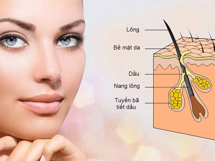 Lỗ chân lông giữ vai trò ổn định sức khỏe cơ thể và trạng thái làn da