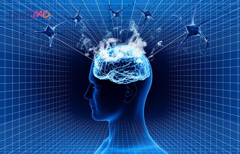 Lutein rất tốt cho não bộ