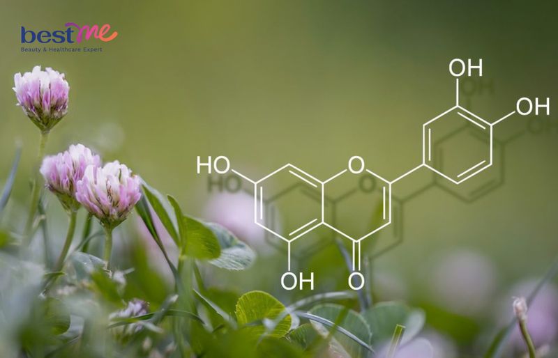 Luteolin là một trong một nhóm các chất được gọi là flavonoids