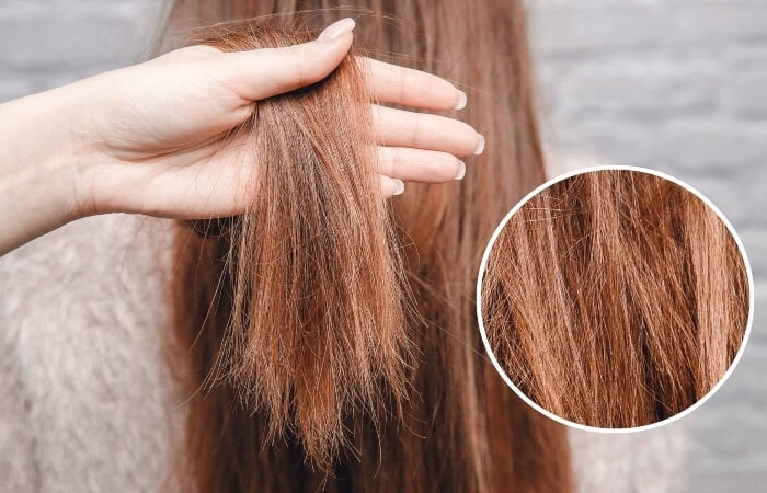 Mái tóc hư tổn thường khô xơ, không còn độ bóng mượt