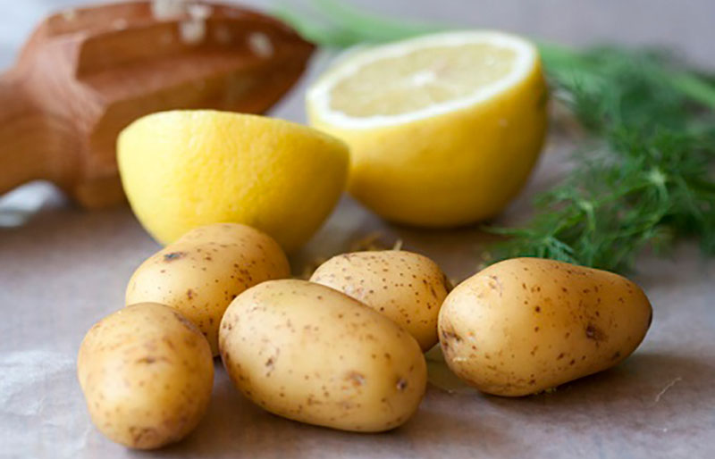 Khoai tây có hàm lượng dinh dưỡng cao kích thích quá trình tái tạo tế bào