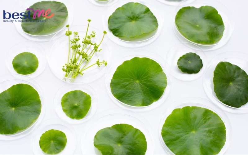 Đắp mặt nạ rau má có nhiều ưu điểm tuyệt vời cho làn da