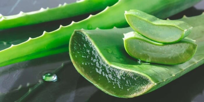 Mặt nạ nha đam dưỡng ẩm cho da khô vào mùa đông