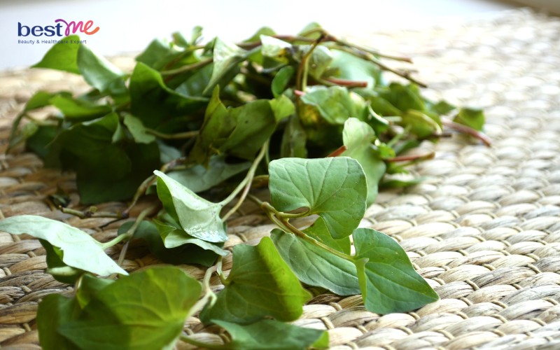 Mặt nạ trị mụn ẩn bằng rau diếp cá