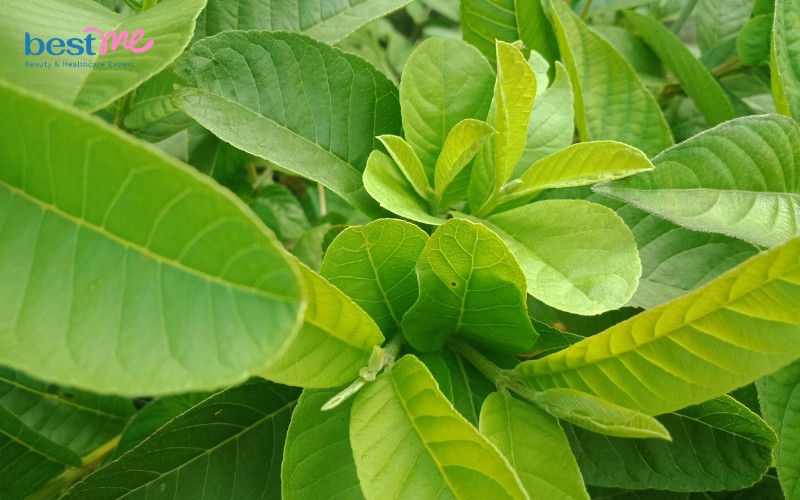 meo-khu-mui-co-the-bang-nguyen-lieu-tu-nhien-5 Mẹo khử mùi cơ thể bằng nguyên liệu tự nhiên - 5