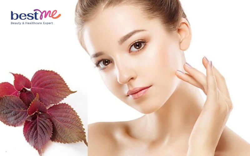 meo-lam-dep-bang-tia-to-cuc-hieu-qua-ngay-tai-nha-1 Mẹo làm đẹp bằng tía tô cực hiệu quả ngay tại nhà - 1