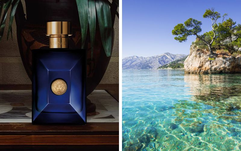 [MỚI 2024] Đánh giá mùi hương nước hoa Versace Dylan Blue Pour Homme - 5
