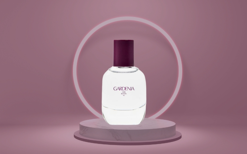 [MỚI 2024] Top 10 nước hoa Zara thơm lâu giá cả phải chăng - 7