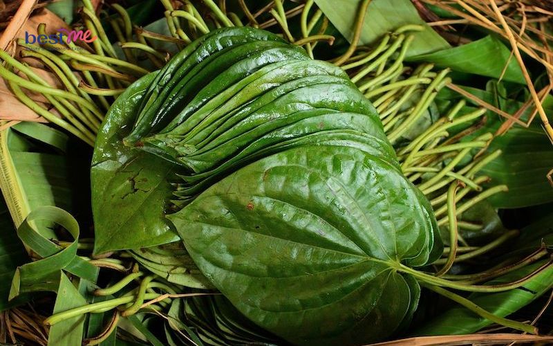 mun-sua-o-tre-so-sinh-tam-la-gi-8-loai-la-tot-an-toan-nhat-7 Mụn sữa ở trẻ sơ sinh tắm lá gì? 8 loại lá tốt an toàn nhất - 7
