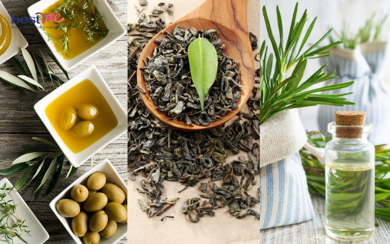 Mỹ phẩm DHC ưu tiên ứng dụng thành phần tự nhiên