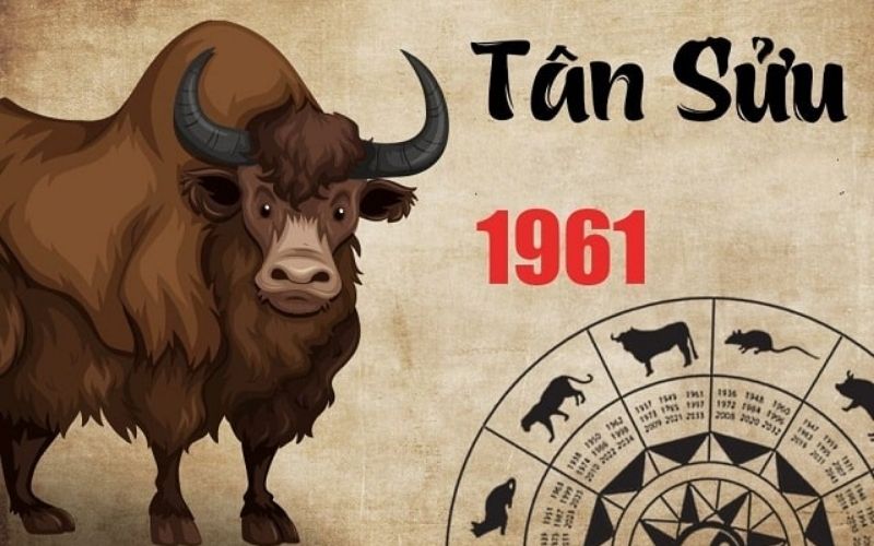 nguoi-tuoi-suu-hop-huong-nao-nhat-mang-toi-tai-loc-va-may-man-3 Người tuổi Sửu hợp hướng nào nhất, mang tới tài lộc và may mắn? - 3