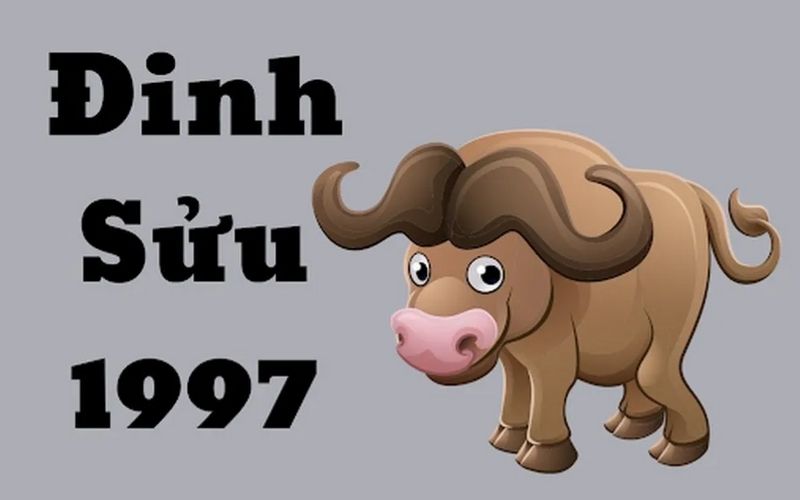 nguoi-tuoi-suu-hop-huong-nao-nhat-mang-toi-tai-loc-va-may-man-6 Người tuổi Sửu hợp hướng nào nhất, mang tới tài lộc và may mắn? - 6