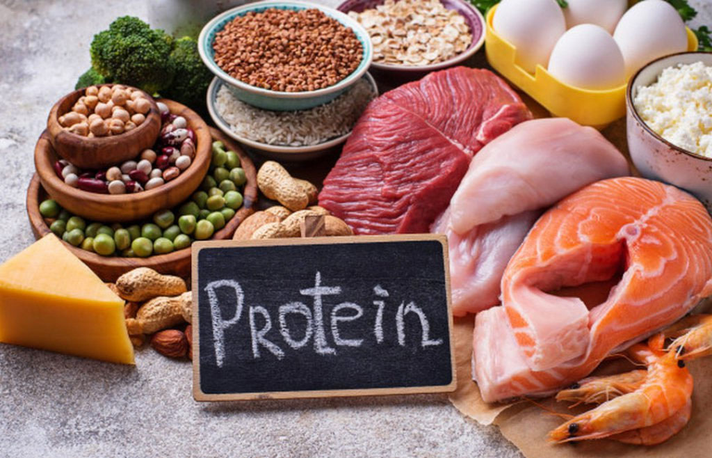 Lượng protein thấp có thể làm tích trữ lượng mỡ thừa cho cơ thể