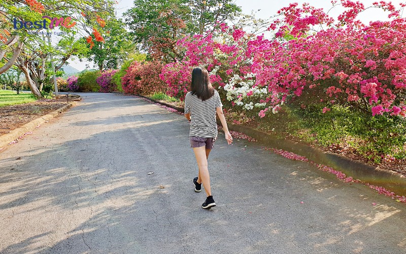 nguyen-nhan-me-bi-tao-bon-sau-sinh-va-cach-chua-tri-hieu-qua-6 Nguyên nhân mẹ bị táo bón sau sinh và cách chữa trị hiệu quả - 6
