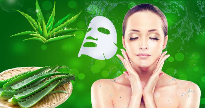 Công thức làm các loại mặt nạ dưỡng da từ nha đam