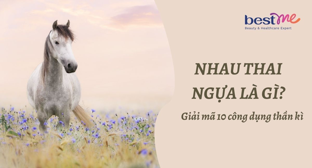Nhau thai ngựa có tác dụng gì? Giải mã 10 công dụng thần kì