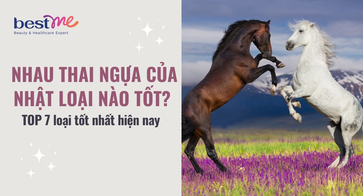 Nhau thai ngựa của Nhật loại nào tốt? TOP 7 loại tốt nhất hiện nay