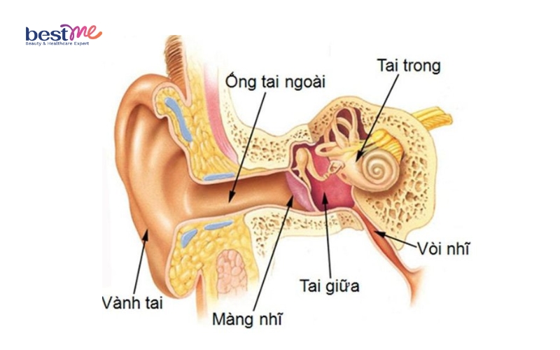 nhot-ong-tai-ngoai-nguyen-nhan-phac-do-dieu-tri-hieu-qua-3 Nhọt ống tai ngoài: Nguyên nhân, phác đồ điều trị hiệu quả - 3