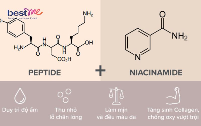 Niacinamide kết hợp với gì hiệu quả? 10 thành phần tốt nhất - 7