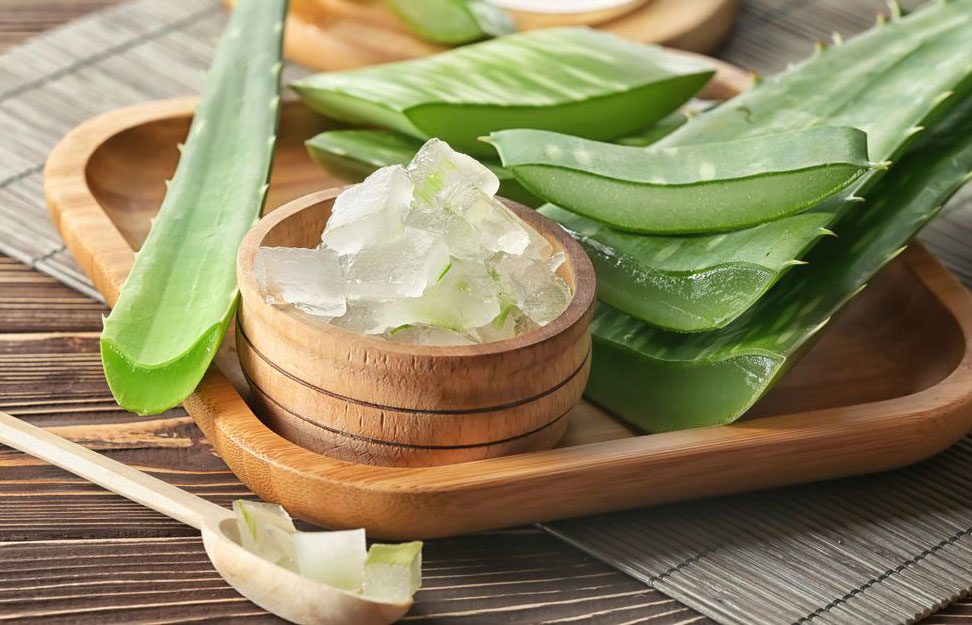 Nước ép lá lô hội: Giúp nuôi dưỡng hàng mi bóng khỏe