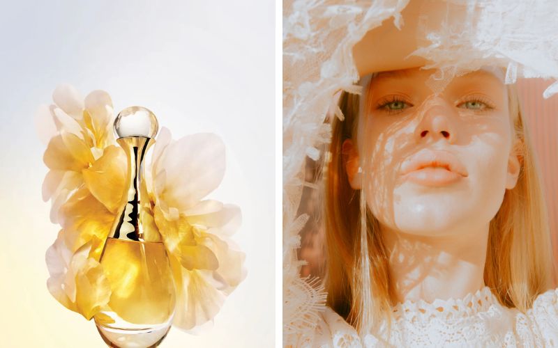 nuoc-hoa-dior-j-adore-co-may-loai-top-8-mui-huong-cua-nam-2024-11 Nước hoa Dior J adore có mấy loại? Top 8 mùi hương của năm 2024 - 11