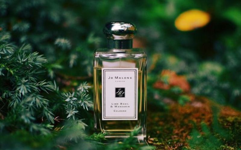 nuoc-hoa-jo-malone-mui-nao-thom-nhat-review-top-11-san-pham-11 Nước hoa Jo Malone mùi nào thơm nhất? Review top 11 sản phẩm - 11