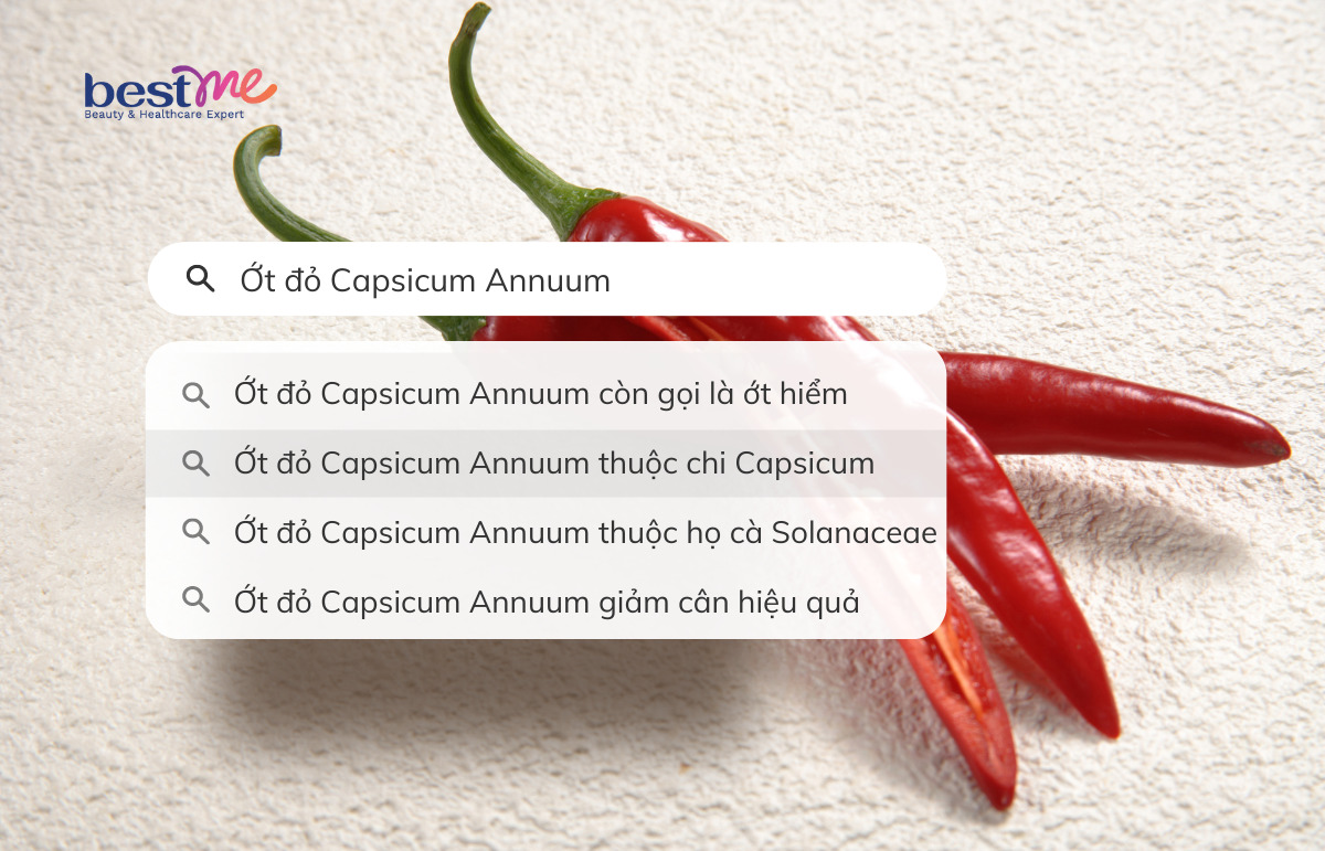 Một vài thông tin về ớt đỏ Capsicum Annuum