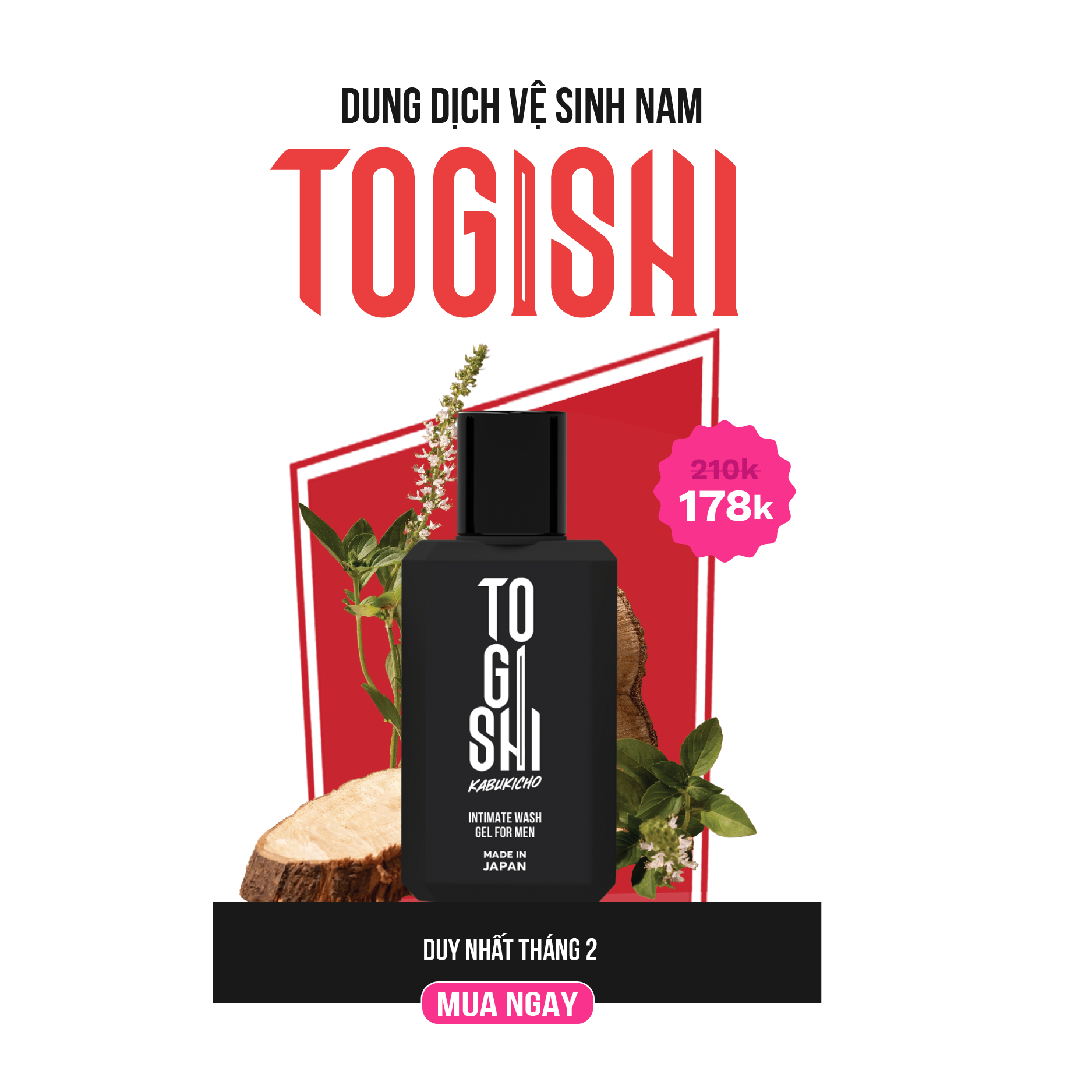 Togishi 2.0 2-2025