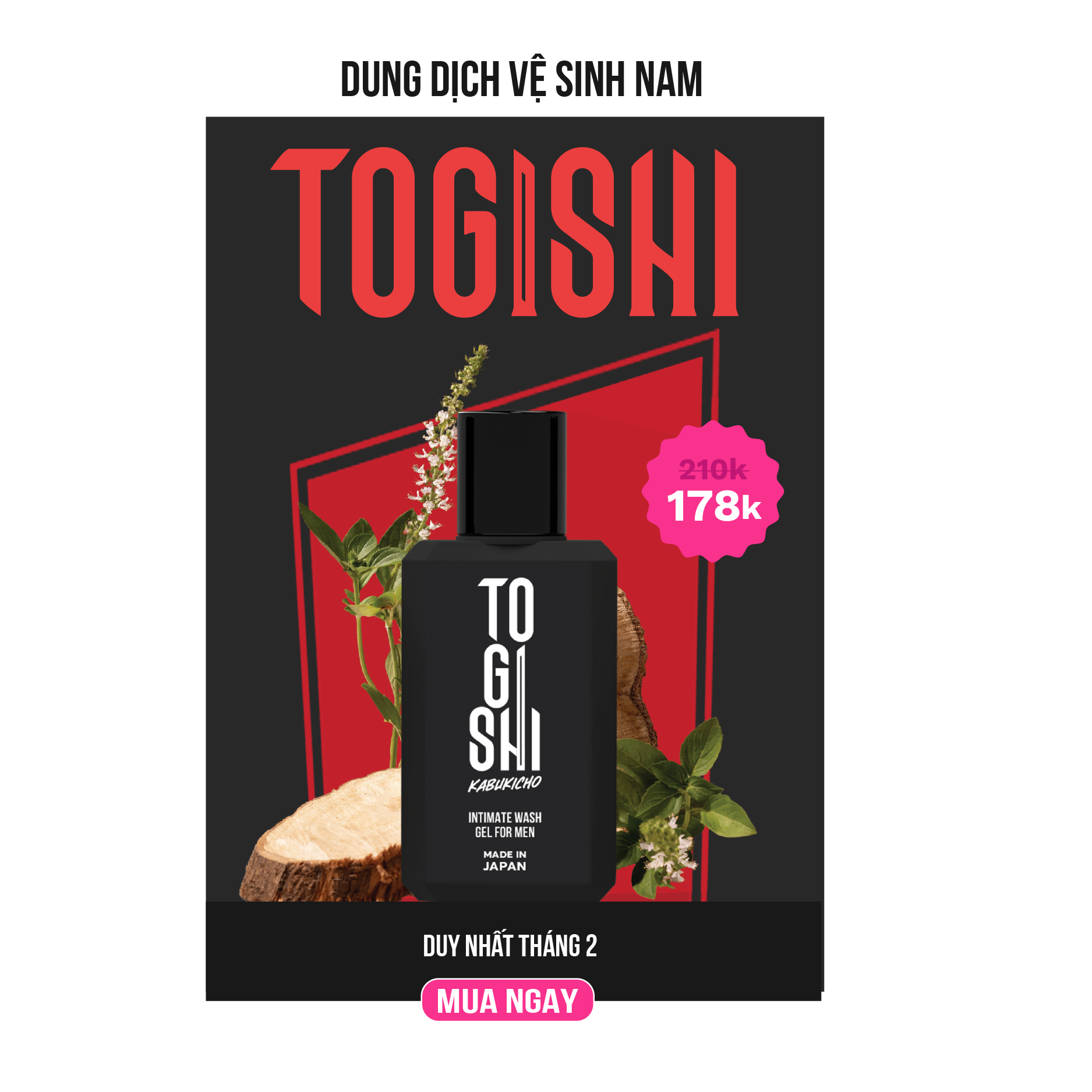 Togishi 1.0 2-2025