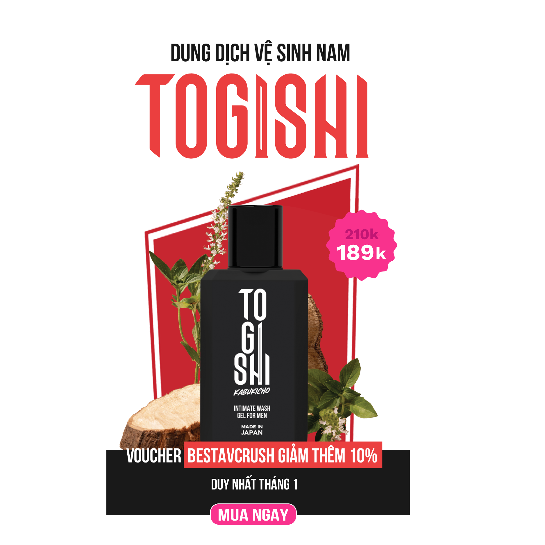 Togishi 1.0 -01-2025