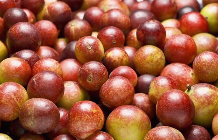 Quả Camu Camu
