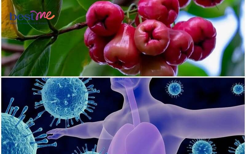 qua-roi-bao-nhieu-calo-nhung-loi-ich-tuyet-voi-cua-qua-roi-voi-suc-khoe-2 Quả roi bao nhiêu calo? Những lợi ích tuyệt vời của quả roi với sức khỏe - 2